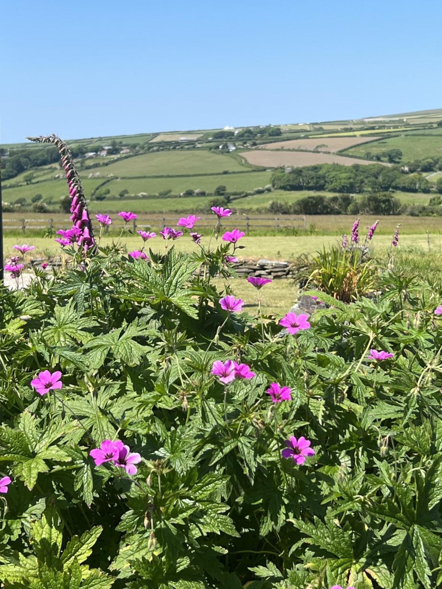 Courtyard Farm Cottages Boscastle Exterior foto