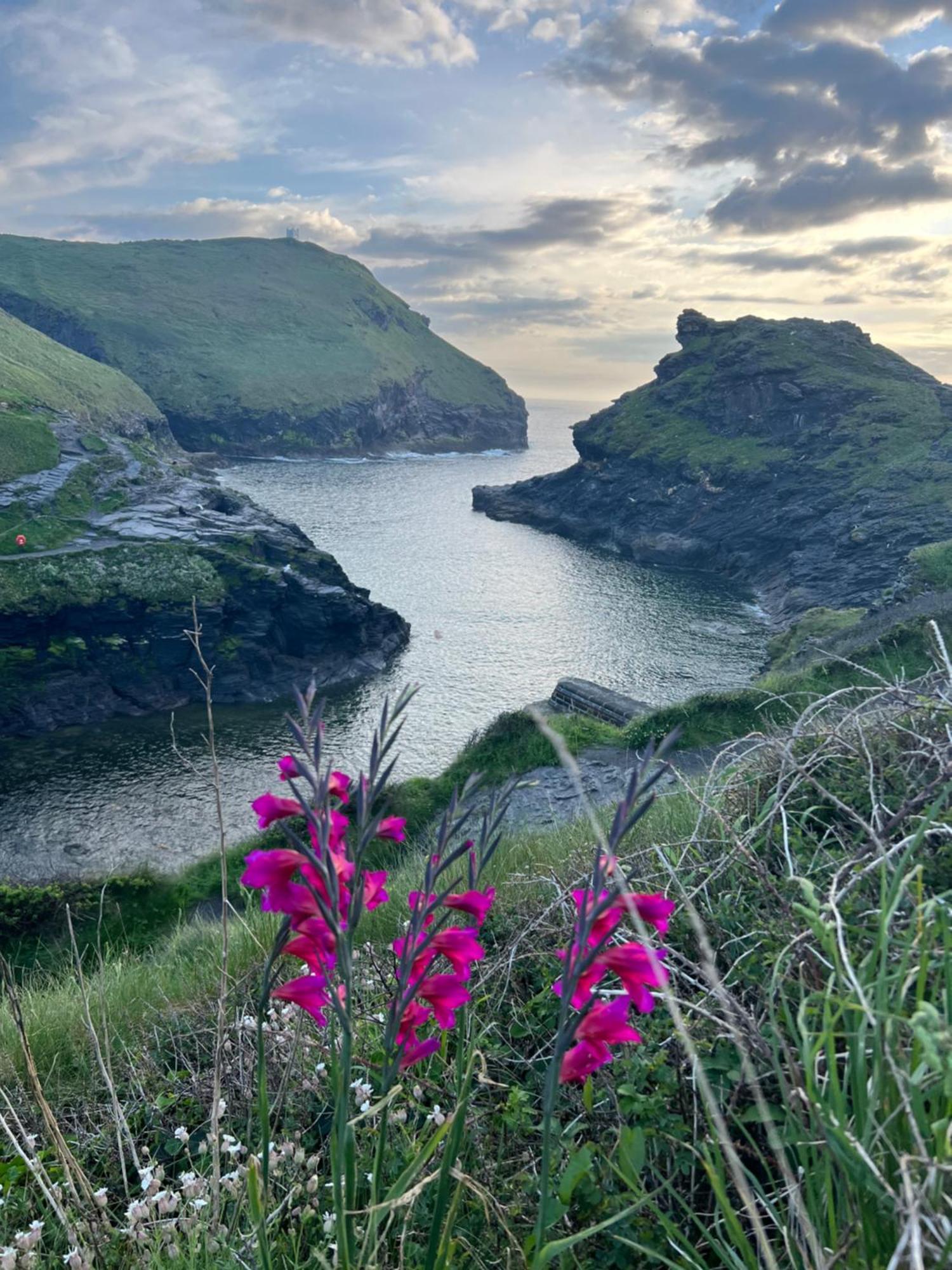 Courtyard Farm Cottages Boscastle Exterior foto
