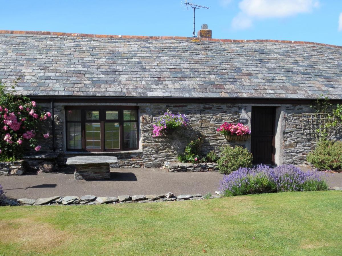 Courtyard Farm Cottages Boscastle Exterior foto